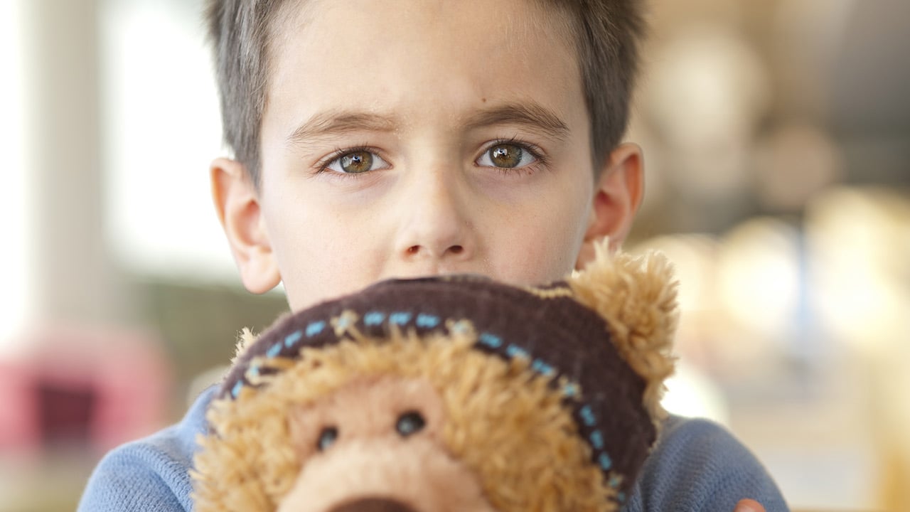 A closeup of a boy with short brown hair and wearing a blue sweater holding a light brown teddy bear with a dark brown hat.