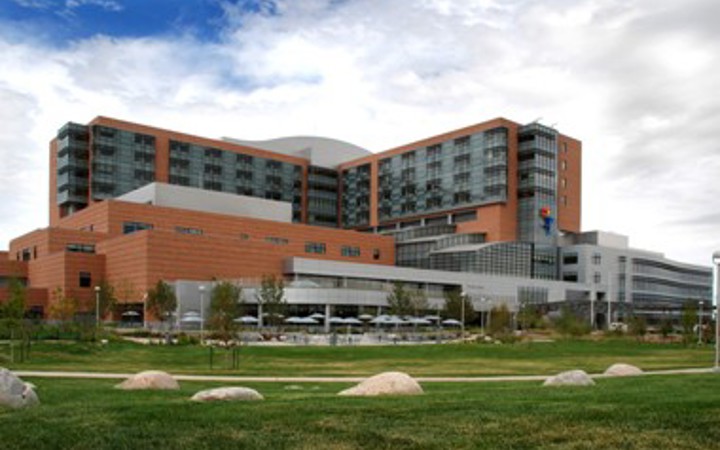 Outside view of the new Children's Hospital building, which has brown brick and blue-green windows and a gray brick entrance. The balloon boy is prominent on the front of the building and it's surrounded by green grass and trees.