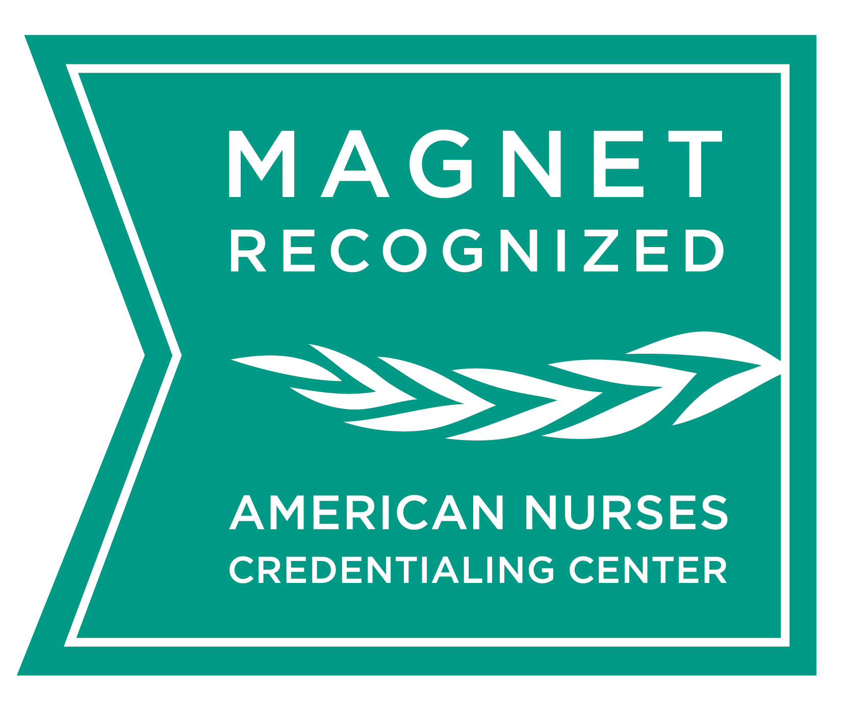 Magnet Recognition Logo