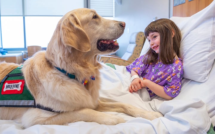 Medical dogs can convince upset kids to take their meds or hold still for procedures, and they help scared kids feel safe.