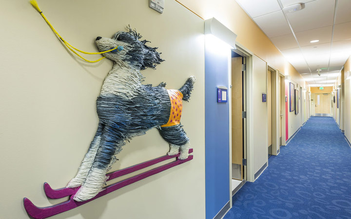 Unique artwork near patient exam rooms at Children’s Colorado