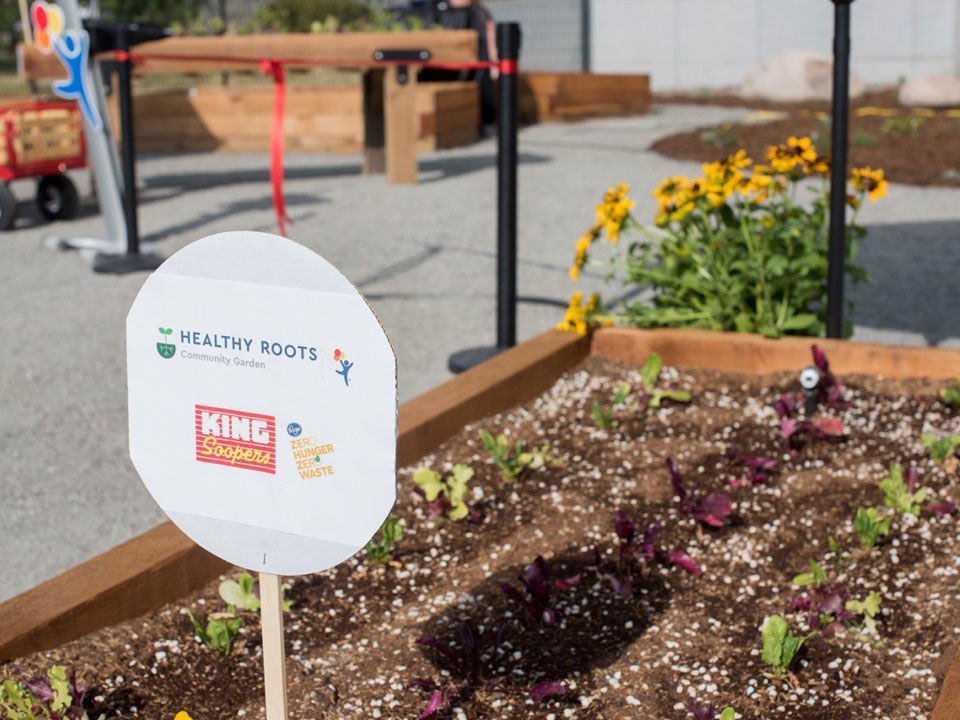 Healthy Roots Garden Sign is stuck into a garden bed with seedlings.