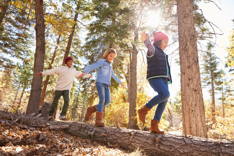 A group of children playing outdoors in the woods