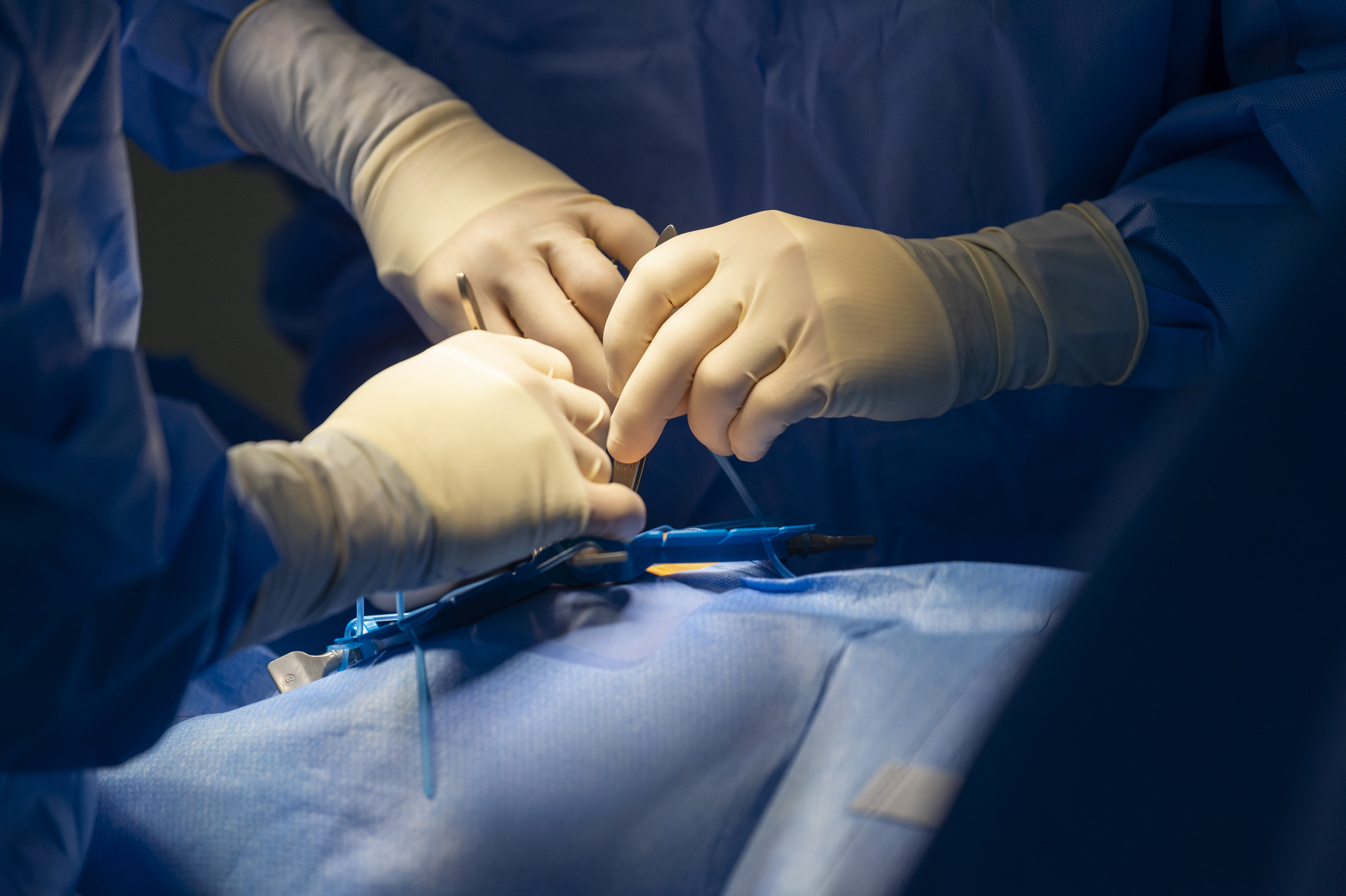 surgeons' hands